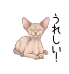 汎用コーニッシュレックススタンプ（個別スタンプ：25）