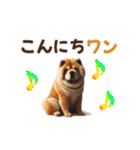 動く▶️チャウチャウ犬♪毎日使える挨拶♡（個別スタンプ：2）