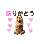 動く▶️チャウチャウ犬♪毎日使える挨拶♡（個別スタンプ：4）