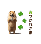 動く▶️チャウチャウ犬♪毎日使える挨拶♡（個別スタンプ：5）
