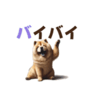 動く▶️チャウチャウ犬♪毎日使える挨拶♡（個別スタンプ：9）