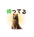 動く▶️チャウチャウ犬♪毎日使える挨拶♡（個別スタンプ：11）