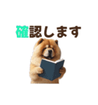 動く▶️チャウチャウ犬♪毎日使える挨拶♡（個別スタンプ：18）