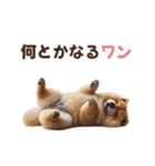 動く▶️チャウチャウ犬♪毎日使える挨拶♡（個別スタンプ：24）