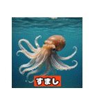 イカが感情ダダ漏れスタンプ（個別スタンプ：24）