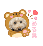 めるるの新一セレクト⑤（個別スタンプ：2）