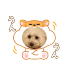 めるるの新一セレクト⑤（個別スタンプ：9）