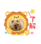 めるるの新一セレクト⑤（個別スタンプ：13）