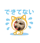 めるるの新一セレクト⑤（個別スタンプ：16）