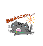 アメショぽんず日常SP（個別スタンプ：1）