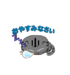 アメショぽんず日常SP（個別スタンプ：2）