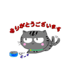 アメショぽんず日常SP（個別スタンプ：10）