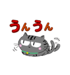 アメショぽんず日常SP（個別スタンプ：16）