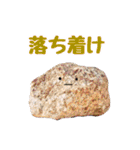 不屈の会社員まるお（個別スタンプ：16）
