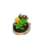 My Flower（個別スタンプ：3）