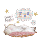 パピヨンの夢ちゃん♡6（個別スタンプ：35）