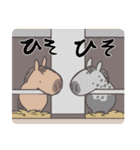 UMA5（うま）（個別スタンプ：4）