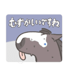 UMA5（うま）（個別スタンプ：16）
