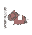 UMA5（うま）（個別スタンプ：17）