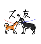 柴犬ワンワンスタンプ3（個別スタンプ：1）