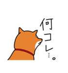 柴犬ワンワンスタンプ3（個別スタンプ：3）
