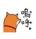 柴犬ワンワンスタンプ3（個別スタンプ：5）