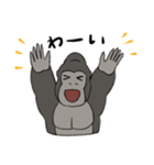 うほうほゴリラ君の毎日（個別スタンプ：4）
