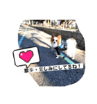 パピヨン レオの独り言！（個別スタンプ：3）