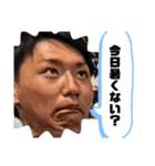 堀見一家変顔集（個別スタンプ：8）