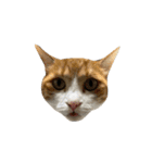 可愛い猫ちゃんのすたんぷ（個別スタンプ：2）