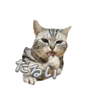 可愛い猫ちゃんのすたんぷ（個別スタンプ：18）