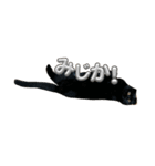 可愛い猫ちゃんのすたんぷ（個別スタンプ：19）