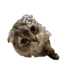 可愛い猫ちゃんのすたんぷ（個別スタンプ：27）
