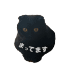 可愛い猫ちゃんのすたんぷ（個別スタンプ：32）
