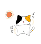 自由に生きるたくさんの猫（個別スタンプ：24）