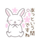 【春】毎日使える敬語☆白うさぎ（個別スタンプ：5）