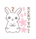 【春】毎日使える敬語☆白うさぎ（個別スタンプ：21）