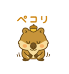 クワッカのあいさつスタンプ（個別スタンプ：15）