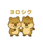 クワッカのあいさつスタンプ（個別スタンプ：17）