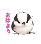 毎日使える鳥スタンプ - エナガ（個別スタンプ：1）
