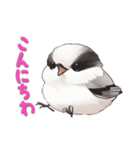 毎日使える鳥スタンプ - エナガ（個別スタンプ：2）
