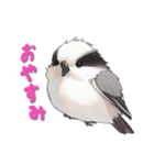 毎日使える鳥スタンプ - エナガ（個別スタンプ：3）