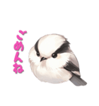 毎日使える鳥スタンプ - エナガ（個別スタンプ：5）