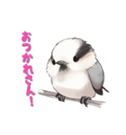 毎日使える鳥スタンプ - エナガ（個別スタンプ：6）