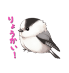 毎日使える鳥スタンプ - エナガ（個別スタンプ：11）