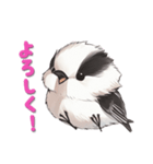 毎日使える鳥スタンプ - エナガ（個別スタンプ：12）
