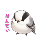 毎日使える鳥スタンプ - エナガ（個別スタンプ：13）