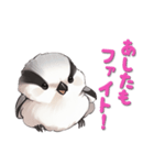 毎日使える鳥スタンプ - エナガ（個別スタンプ：14）