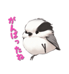 毎日使える鳥スタンプ - エナガ（個別スタンプ：17）