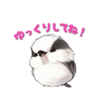 毎日使える鳥スタンプ - エナガ（個別スタンプ：22）